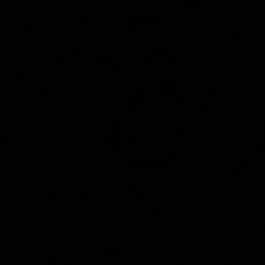 Meet your Posher, Audrey